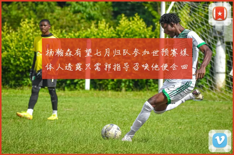 杨瀚森有望七月归队参加世预赛媒体人透露只需郭指导召唤他便会回归