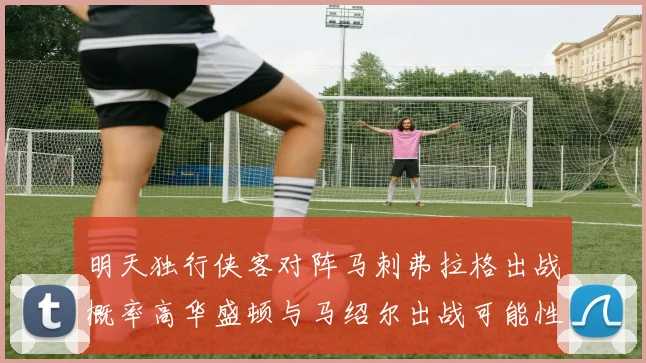 明天独行侠客对阵马刺弗拉格出战概率高华盛顿与马绍尔出战可能性小